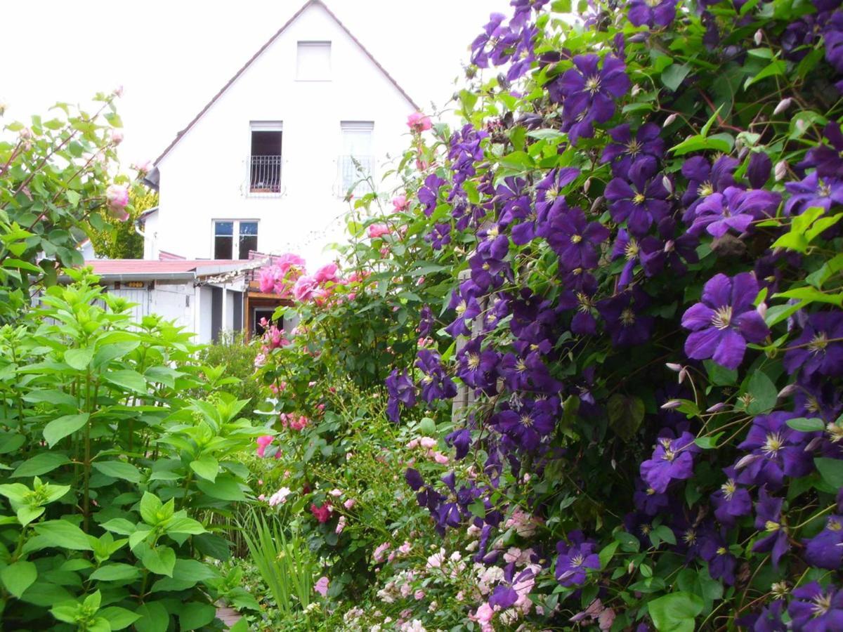 Ferienwohnung Gaby Marburg Dış mekan fotoğraf